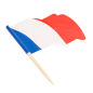 PETITS DRAPEAUX "FRANCE"  4x3/6,5 CM ASSORTI BOIS (144 UNITÉ)