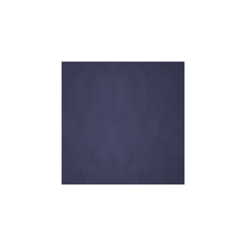 NAPPES PLIAGE M  48 G/M2 100x100 CM BLEU MARINE CELLULOSE (200 UNITÉ)