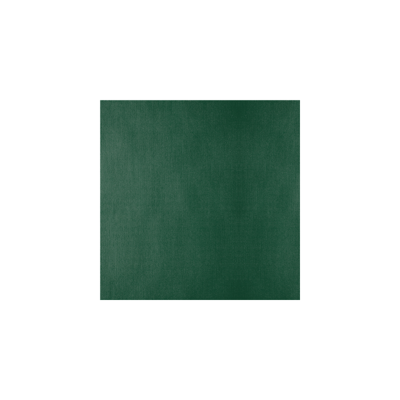 NAPPES PLIAGE M  48 G/M2 100x100 CM VERT JAGUAR CELLULOSE (200 UNITÉ)