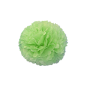 POM POM FLOWER  Ø 25 CM VERT (10 UNITÉ)