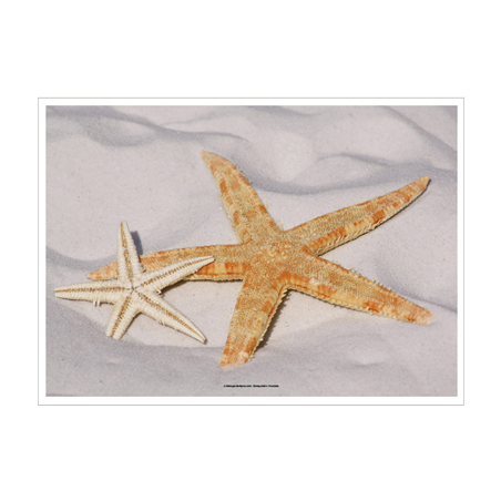 SETS DE TABLE OFFSET