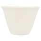 GOBELETS CHOKO 'BIONIC' 175 ML Ø 8,3x6,1 CM BLANC BAGASSE (200 UNITÉ)