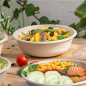 SALADIERS 'BIONIC' 950 ML Ø 18,6x6,1 CM NATUREL BAGASSE (500 UNITÉ)