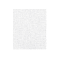50 U. LAVETTES "PERFOKLEEN"  45 G/M2 36x42 CM BLANC VISCOSE (1 UNITÉ)