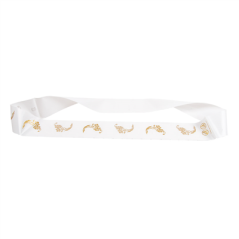 BANDES SANITAIRES WC