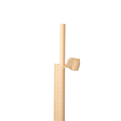 PAILLES DROITES SOUS SACHETS KRAFT