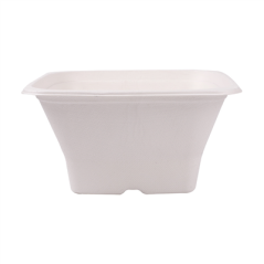 BOLS CARRÉS 'BIONIC' 1,2 L 18x18x9 CM BLANC BAGASSE (400 UNITÉ)