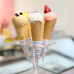 CÔNES GLACES