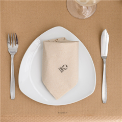 SERVIETTES ECOLABEL 2 PLIS  18 G/M2 30x30 CM NATUREL OUATE RECYCLÉE (2400 UNITÉ)