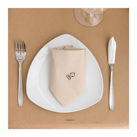 SERVIETTES ECOLABEL 2 PLIS  18 G/M2 30x30 CM NATUREL OUATE RECYCLÉE (2400 UNITÉ)