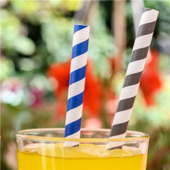 PAILLES  À FRANGES SOUS SACHETS