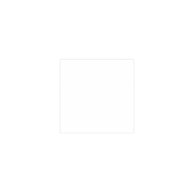 PAPIER INGRAISSABLES BASKET  35 G/M2 31x31 CM BLANC PARCH.INGRAISSABLE (1000 UNITÉ)