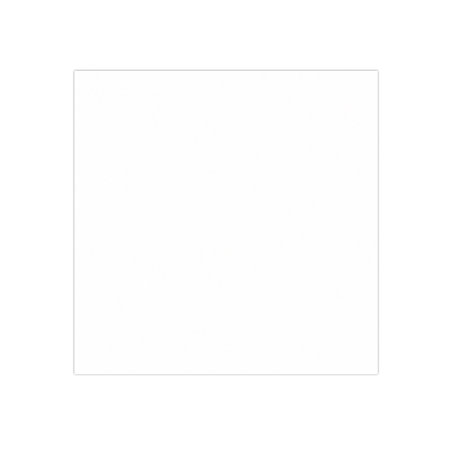 PAPIER INGRAISSABLES BASKET