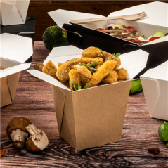 RÉCIPIENTS MULTIUSAGES MICRO-ONDABLES