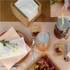 DISTRIBUTEUR SERVIETTES