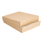 PLATEAUX + COUVERCLE 'THEPACK' 240 G/M2 23x17x4,5 CM NATUREL CARTON ONDULÉ NANO-MICRO (200 UNITÉ)