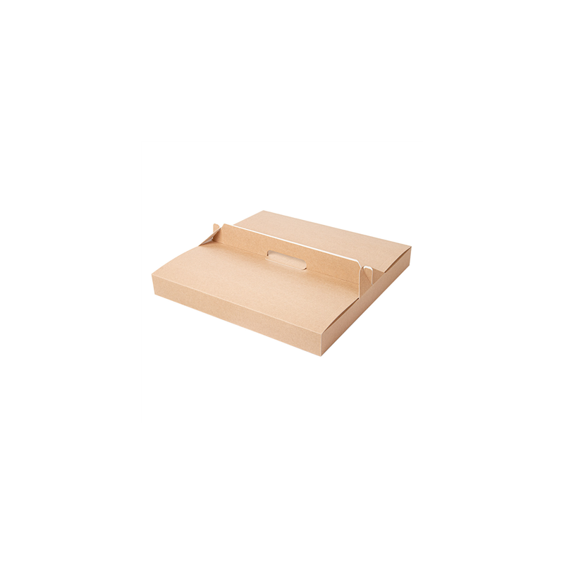 BOÎTES AVEC ANSE 'THEPACK' 330 G/M2 32x32x3,8 CM NATUREL CARTON ONDULÉ MICROCANAL (100 UNITÉ)