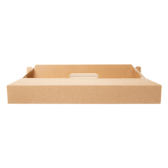 BOÎTES AVEC ANSE 'THEPACK' 330 G/M2 32x32x3,8 CM NATUREL CARTON ONDULÉ MICROCANAL (100 UNITÉ)
