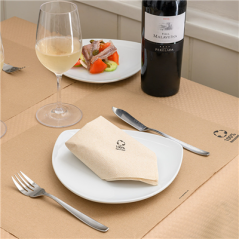 SERVIETTES ECOLABEL 2 PLIS