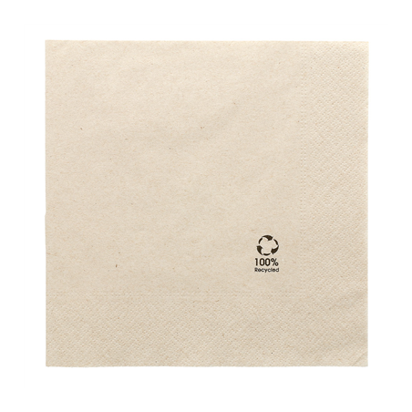 SERVIETTES ECOLABEL 2 PLIS