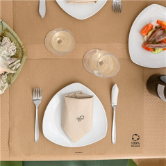 SERVIETTES ECOLABEL 2 PLIS