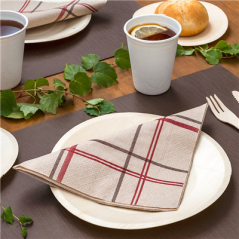 SERVIETTES ECOLABEL 2 PLIS P. 1/4