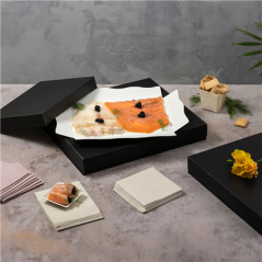 PLATEAUX + COUVERCLE