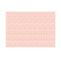 SETS DE TABLE 'MIAMI' 48 G/M2 31x43 CM SAUMON CELLULOSE (2000 UNITÉ)