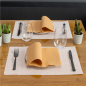 SETS DE TABLE 'MIAMI' 48 G/M2 31x43 CM SAUMON CELLULOSE (2000 UNITÉ)