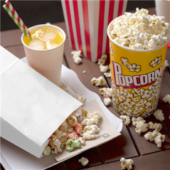 SACS SOS SANS ANSES  60 G/M2 14+8x24 CM BLANC PARCH.INGRAISSABLE (500 UNITÉ)