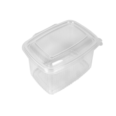 RÉCIPIENT AVEC CHARNIÈRE