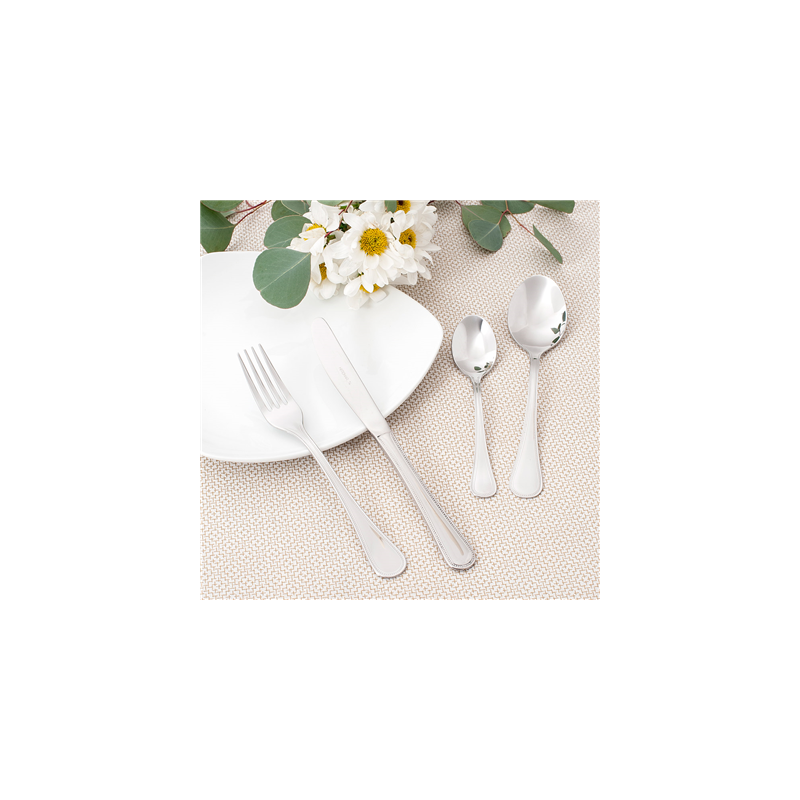 COUTEAUX 'SEVILLA'  21,5 CM ARGENTE ACIER (12 UNITÉ)