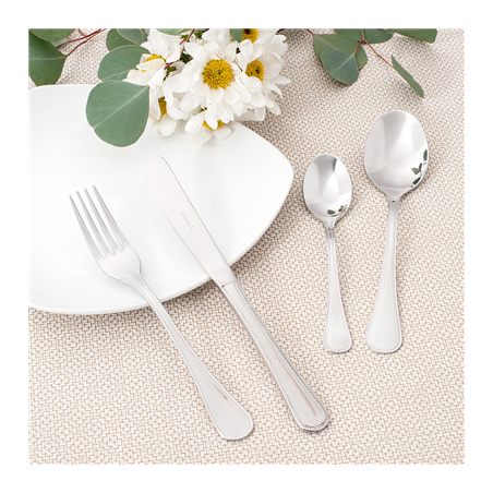 COUTEAUX 'SEVILLA'  21,5 CM ARGENTE ACIER (12 UNITÉ)