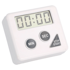 TEMPORISATEUR ÉLECTRIQUE 60'