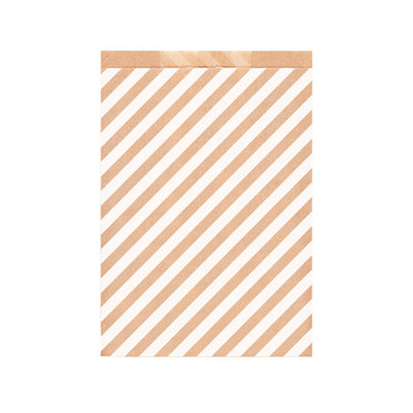 SACHETS PLATS RAYURES