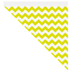 CORNETS 600 G - LISERÉ CITRUS