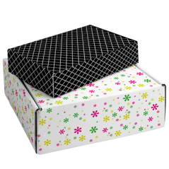 20 U BOÎTES PRÉSENTATION  436 G/M2 28,6x17,6x6,5 CM CARTON (1 UNITÉ)