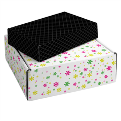 20 U BOÎTES PRÉSENTATION