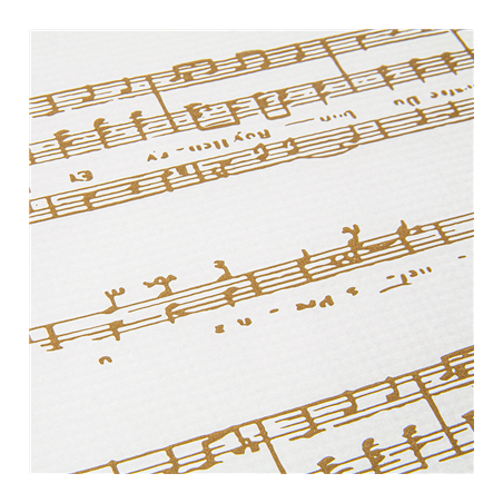 SETS DE TABLE 'SNOW' 48 G/M2 31x43 CM BLANC CELLULOSE (2000 UNITÉ)