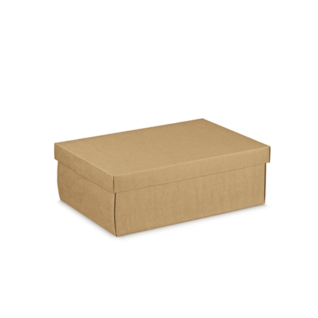 10 U. BOÎTES RECTANGULAIRES