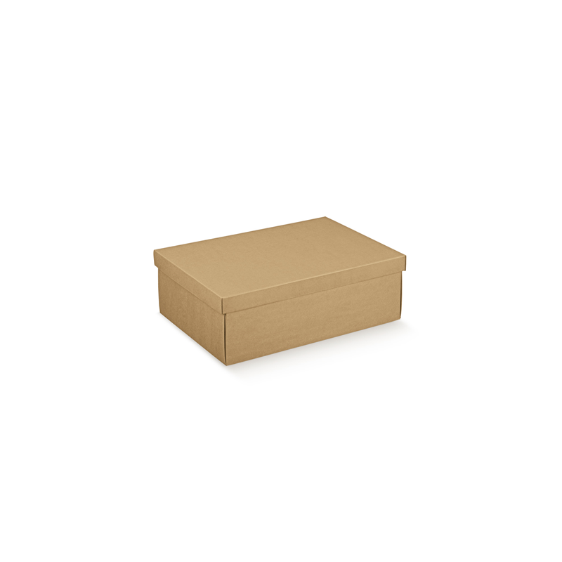 10 U. BOÎTES RECTANGULAIRES  45,5x32x15 CM NATUREL KRAFT (1 UNITÉ)