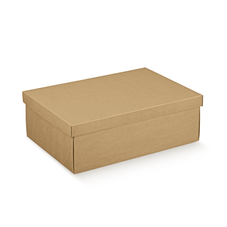 10 U. BOÎTES RECTANGULAIRES