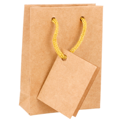 10 U. SACS BOUTIQUE ANSES CORDON