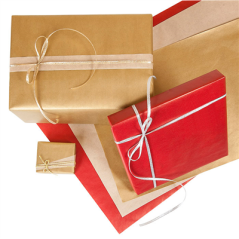 PAPIER CADEAU COULEUR UNIE
