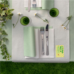 LINGETTES CITRONNELLE