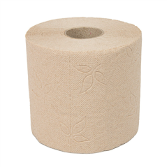 HYGIÉNIQUE 2 PLIS ENVOLOPPÉ INDIVIDUEL 'FEEL GREEN' 2x17 G/M2 9 CM (h) x 35 M NATUREL PAPIER RECYCLÉ (48 UNITÉ)