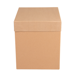 BOÎTES PATISSERIES HAUTES SANS FENÊTRE 'THEPACK' 320 G/M2 25,4x25,4x30,5 CM NATUREL CARTON ONDULÉ MICROCANAL (30 UNITÉ)