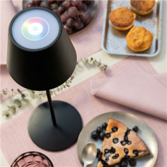 LAMPE LED SANS FIL + VARIATEUR