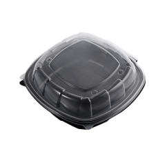 RÉCIPIENTS AVEC COUVERCLE CHARNIÈRE MICRO-ONDABLES