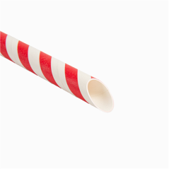 PAILLES DROITES À FRANGES 'BUBBLE TEA'